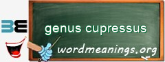 WordMeaning blackboard for genus cupressus